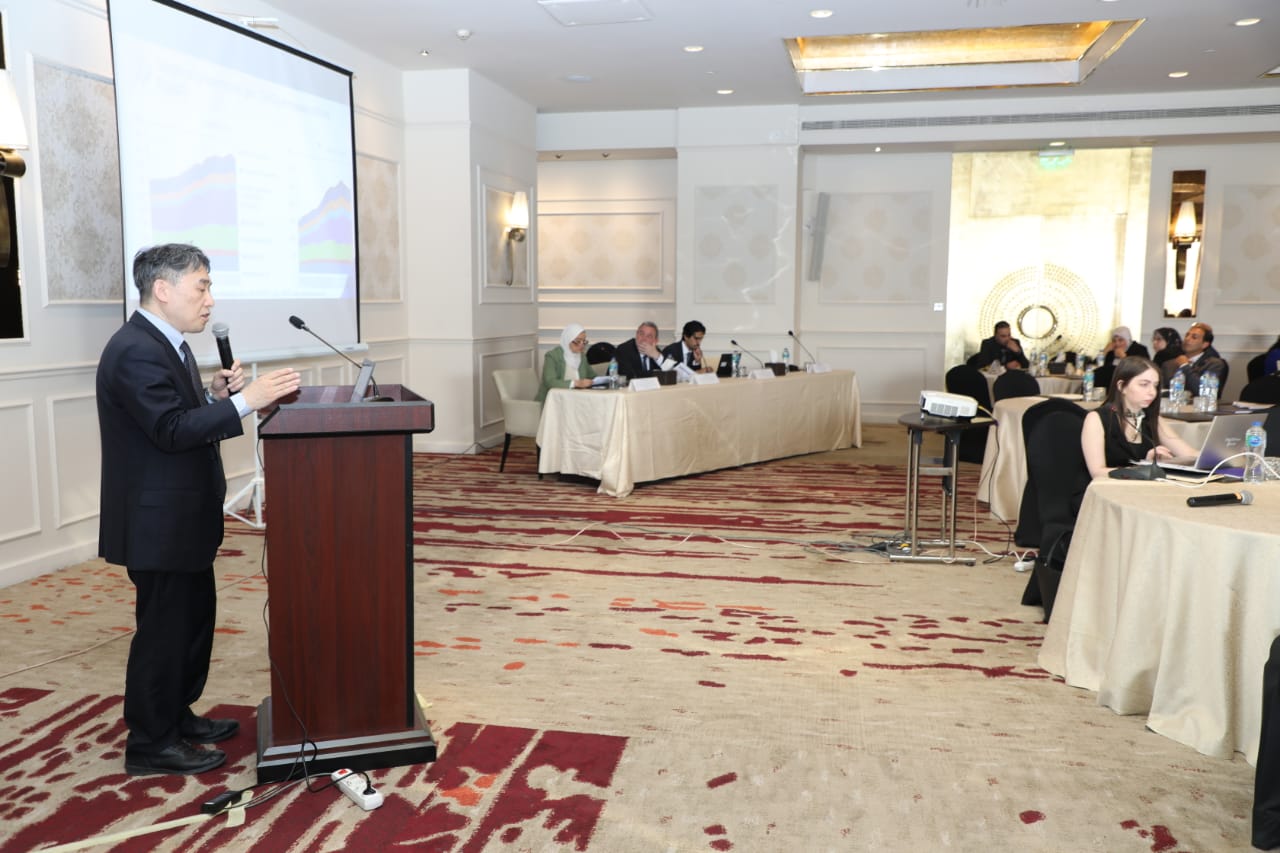 Egyptian National Programme Workshop with OECD