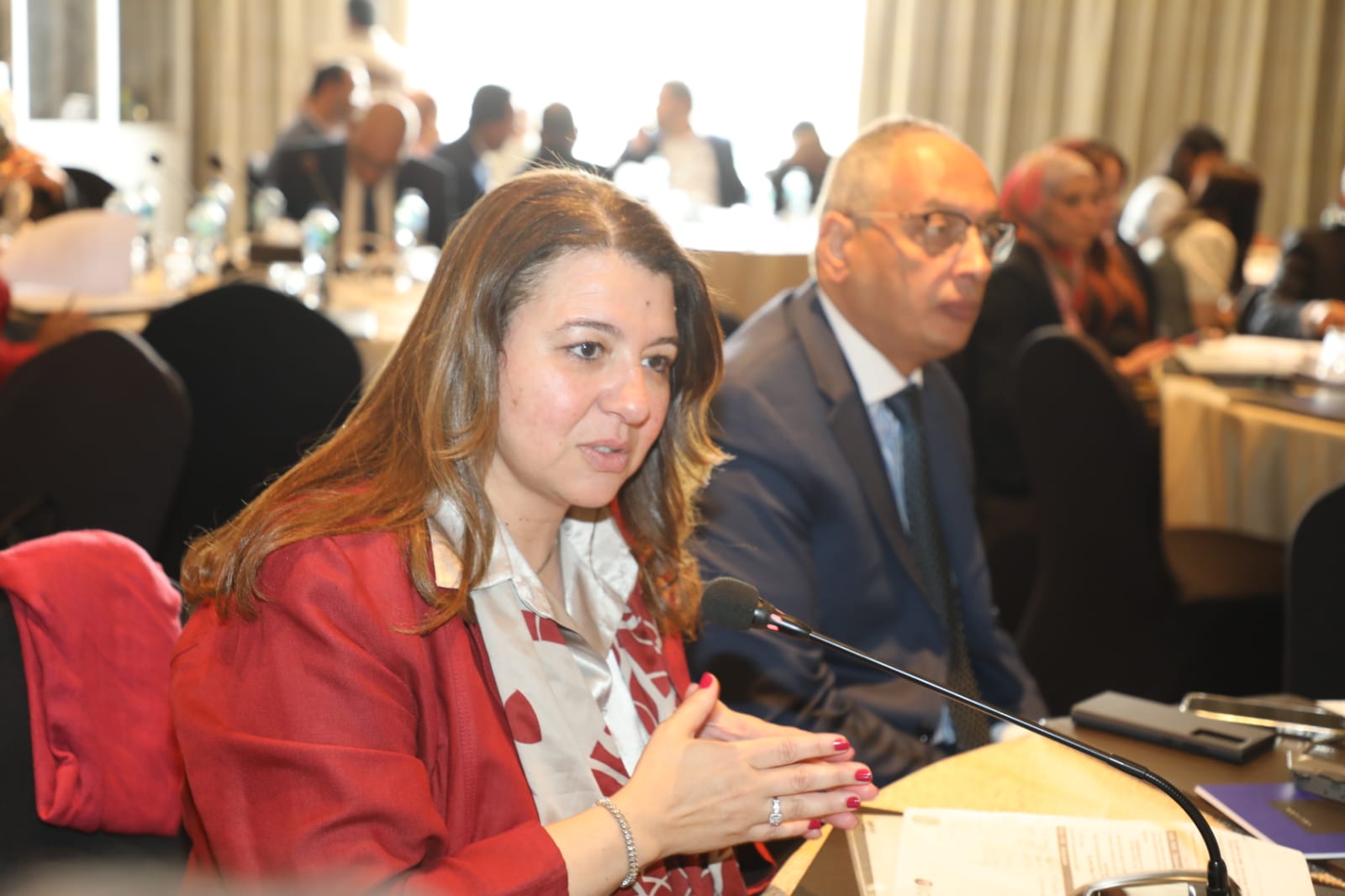 Egyptian National Programme Workshop with OECD