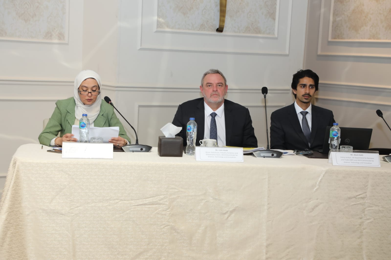 Egyptian National Programme Workshop with OECD