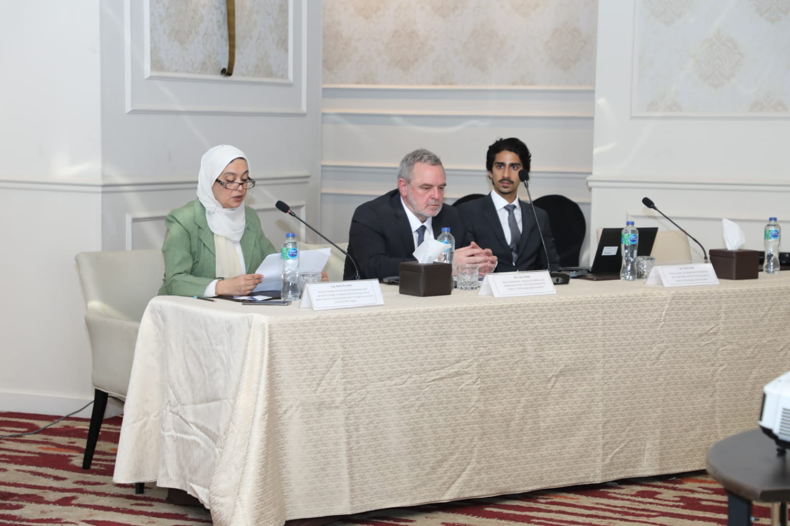 Egyptian National Programme Workshop with OECD