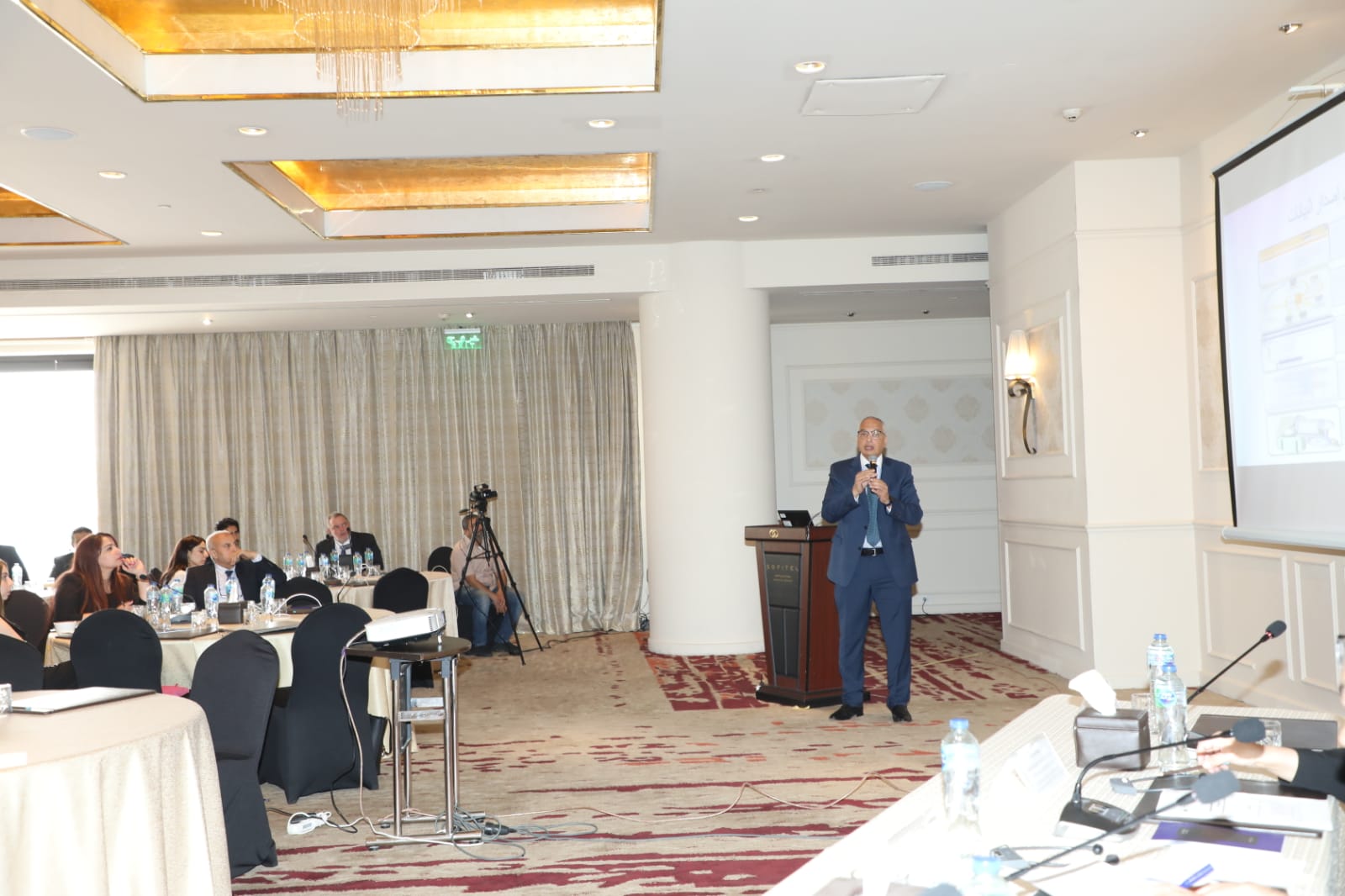 Egyptian National Programme Workshop with OECD