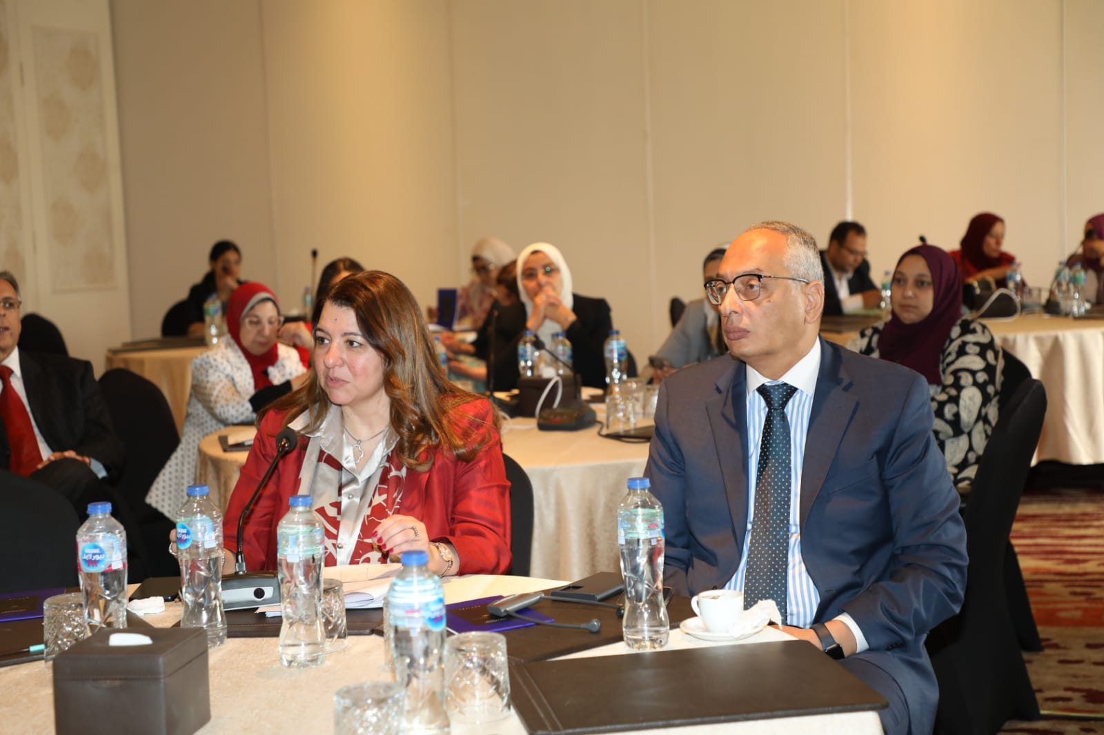 Egyptian National Programme Workshop with OECD