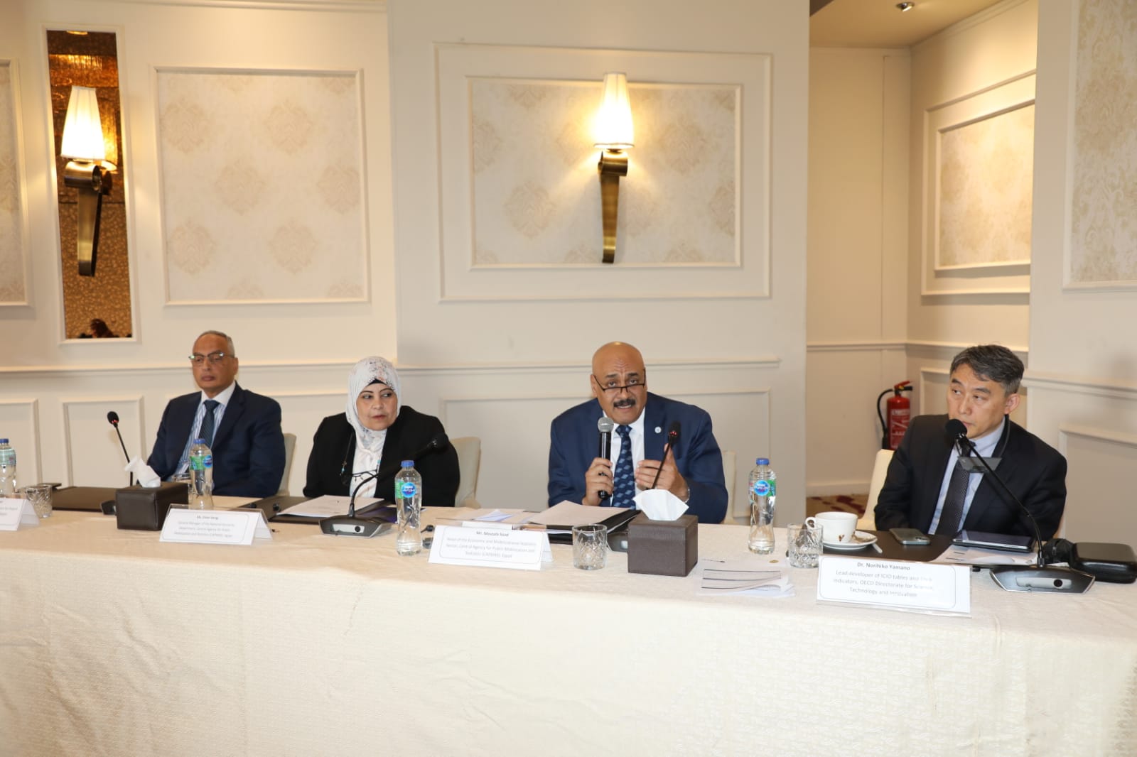 Egyptian National Programme Workshop with OECD